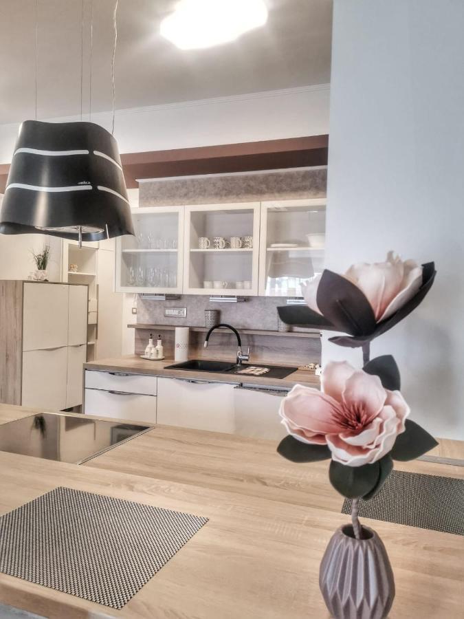 Studio Apartment "Brigita",Parking With Gate Рийека Екстериор снимка
